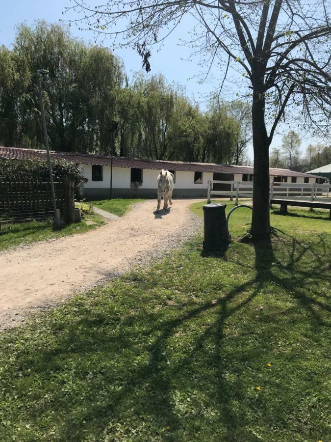 Agriturismo La Fornace Centro Ippico Комо Екстериор снимка
